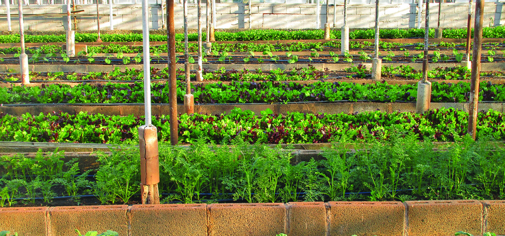 Alojamientos Huerto en Potes